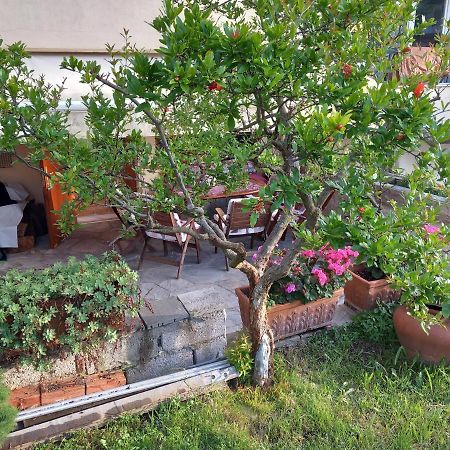 Στουντιο Κοντά Στην Κλινική Αγ Λουκα Thessaloníki Ngoại thất bức ảnh