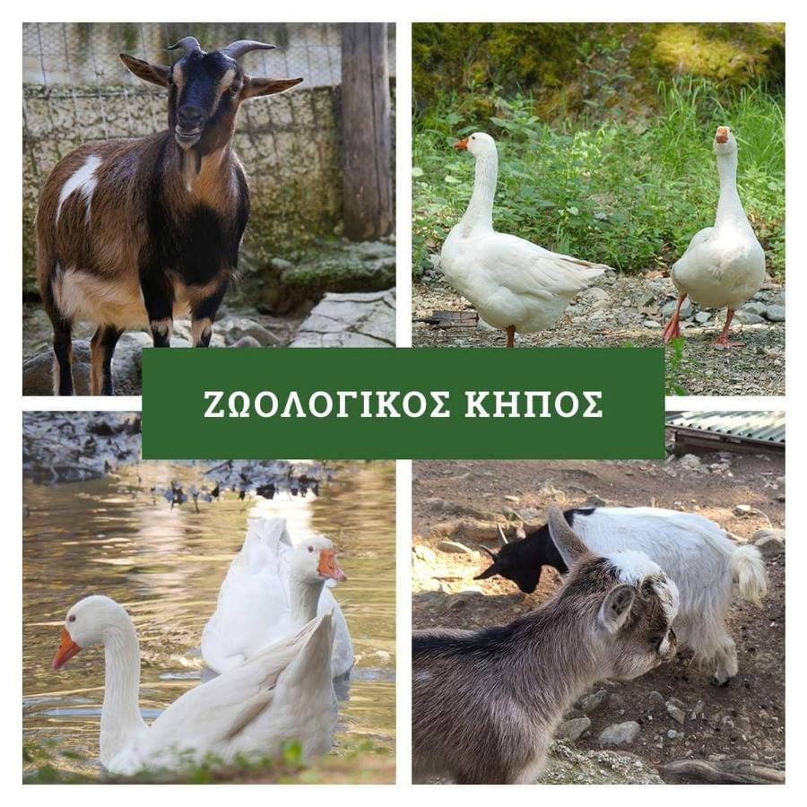 Στουντιο Κοντά Στην Κλινική Αγ Λουκα Thessaloníki Ngoại thất bức ảnh